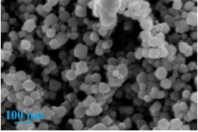 Figure  3.3  Topographical  view,  obtained  by  SEM,  of  NPs  synthetized  using  acid  ascorbic as reducer