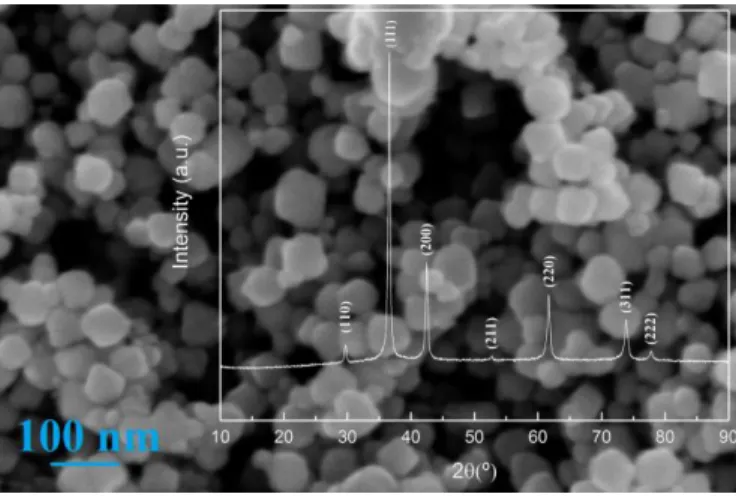 Figure 3.5 SEM topographical view of the synthetized Cu 2 O NPs and respective XRD  diffractogram