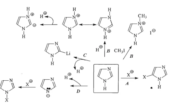 Figura 12: Esquema das principais reações do anel imidazólico. 