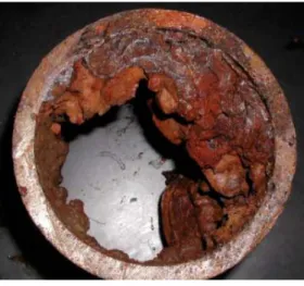 Figura 8 - Tubérculos no interior de um tubo de material ferroso 