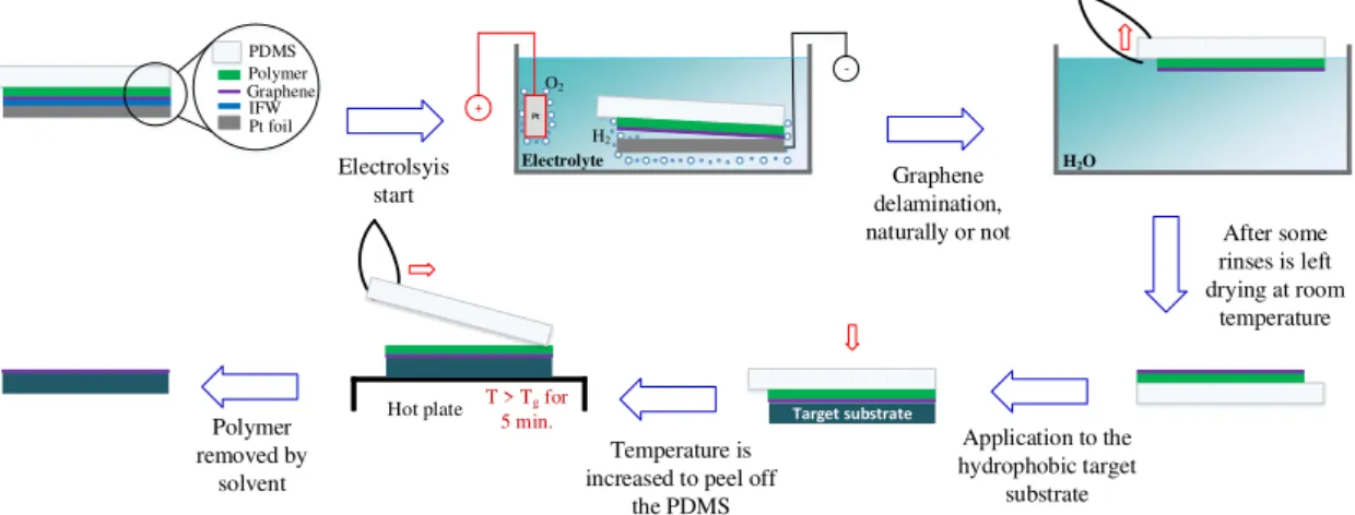 Figure 2.4: Process route for a dry-transfer based on the electrochemical method with the sample as cathode and a bare Pt foil as anode.