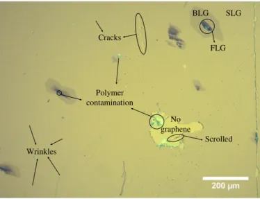 Figure 2.5: Optical microscopy image after a wet graphene transfer using NaOH as electrolyte.