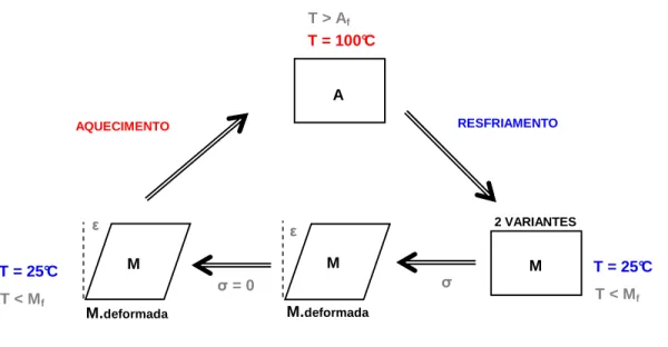 Figura 3.4. Representação esquemática bidimensional da coalescência das variantes da martensita e  transformação inversa com o aquecimento [Adaptado Otubo, 1996]