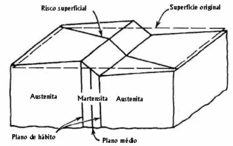 Figura 3.12. Relevo de superfície produzido pela formação da placa de martensita [Otubo, 1996]
