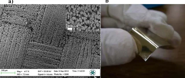 Figure 1.1 a) Application of a zinc oxide nanorods in textile substrate targeting the development of a diode [6] 