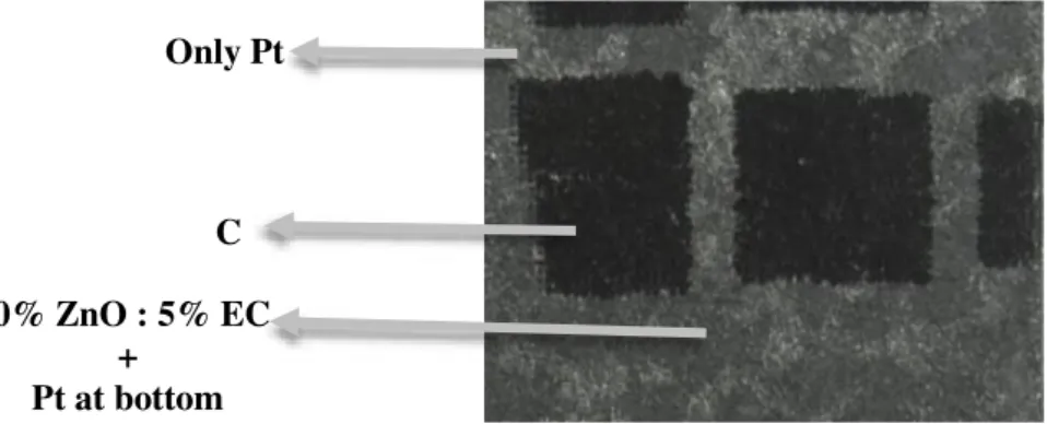 Figure 3.5 - Image of the surface with screen-printed 10% ZnO : 5% EC layer with carbon top contacts on paper  substrates 