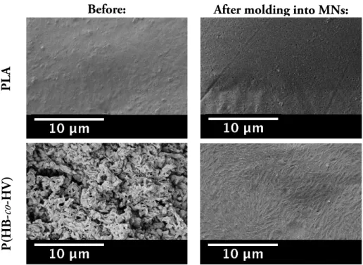 Figure 3.5: Polymers morphology. A 20-cent coin was used for scale purposes.