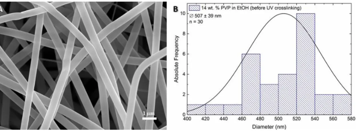 Figure 3.6 - SEM micrographs of 14 wt. % PVP in EtOH non-woven mats before UV crosslinking  (A) and respective mean fibre diameter (B)
