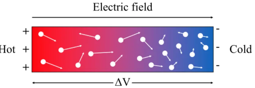 Figure 1.1: Development of an electrical potential as a result of a temperature gradient