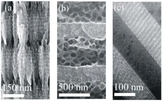 Figure 6. Scanning electron microscopy images of the cross section of  porous one dimensional  photonic crystals made of  (a) titanium dioxide by physical vapor deposition at glacing angle (b)  laponite – TiO 2  system.(c) supramolecularly templated layers
