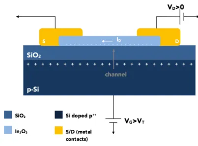 Figure 1: Schematic diagram of TFT struture using Si doped p ++  substrate as back gate