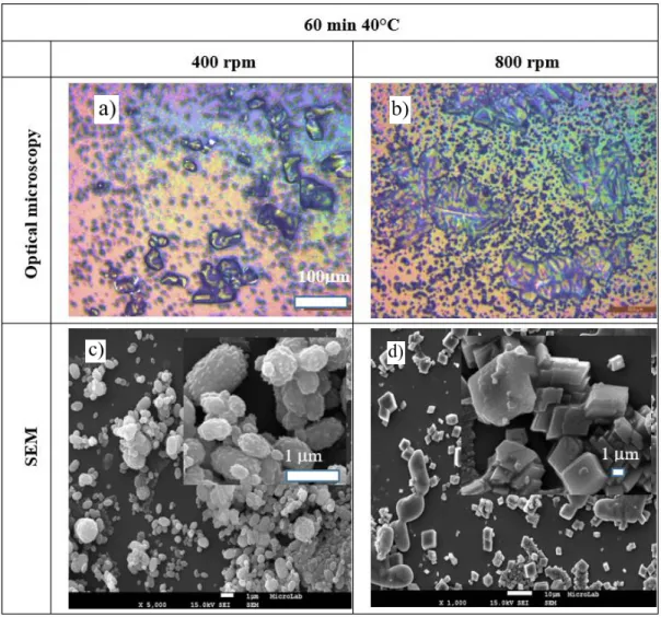 Figure  6  -  Images  of  SEM  and  optical  microscopy  for  samples  synthetized  during  60  minutes  at  40ºC at 400 rpm and 800rpm magnetic stir