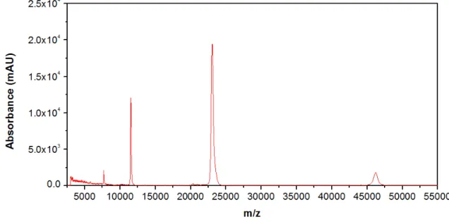 Figure 3.3 - MADI-TOF mass spectrum of the suckerin-25 recombinant protein. 