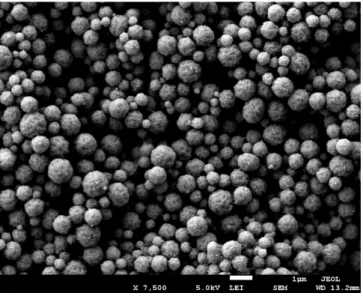 Figure 3.5 – FE-SEM images of crosslinked suckerin-39 particles. The white bar represents 1 µm