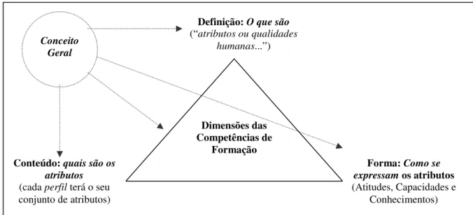 Figura 1.1.4a – As dimensões das Competências de Formação, subordinadas ao conceito geral