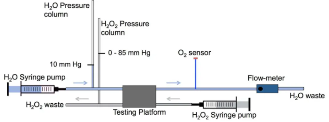 Figure 2.4. Laboratory setup for implementing the fabricated testing device. 