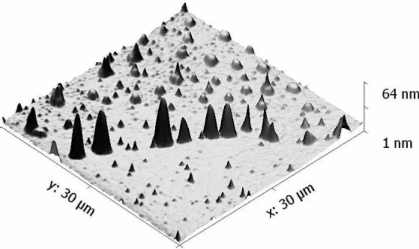 Figura II-16 – Imagem topográfica, obtida por AFM em modo vibracional, com uma escala de 30 x 30 