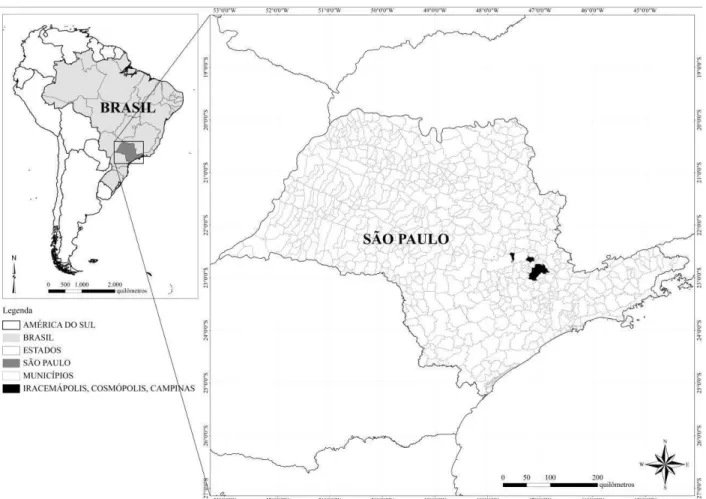 Figura 1 - Situação geográfica das áreas de estudo destacadas em preto no estado de São Paulo, Brasil