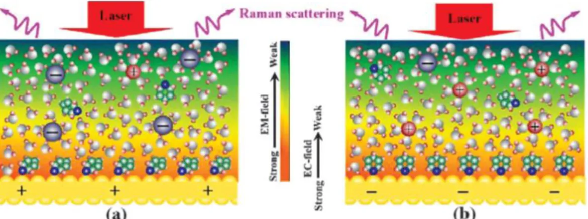 Figure 1  – Schematic Diagrams of the Electrochemical interfaces with the coexistence of electrochemical field  induced by the Laser and electric field at the electrode potentials