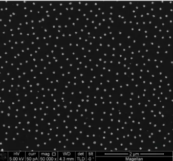 Figure 4.5 - Schematic of the small disk fabrication. The materials used are the same except the bottom disk, which  is 3.9 nm high SiO 2  (depicted in black) instead of Au