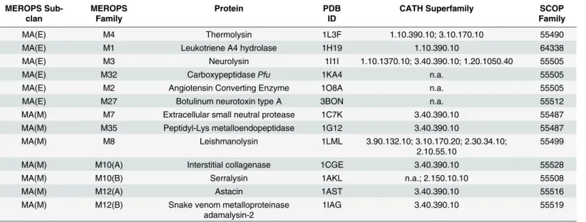 Table 2. Set of 13 representative metalloproteases of the MA Clan.