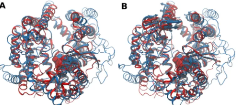 Fig 4. Structure- and dynamics-based alignments obtained for pair M3-M32. (A) Structure-based and (B) Dynamics-based alignment of M3 representative Neurolysin (blue, PDB ID: 1I1I) and M32 representative Carboxypeptidase Pfu (red, PDB ID: 1KA4)