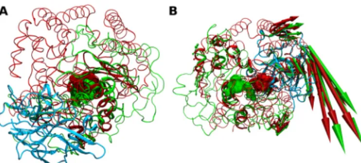 Fig 5. Structure- and dynamics-based alignment obtained for pair M32-M8. (A) Structure-based and (B) Dynamics-based alignment of M8 representative Leishmanolysin (green, PDB ID: 1LML) and M32