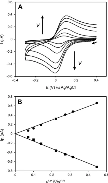 Fig. 1. Scan rate ( ν ) dependence of the electrochemical response of cyt c 552 co-entrapped with Mhcd 1 NiR on a pyrolytic graphite electrode using a dialysis membrane