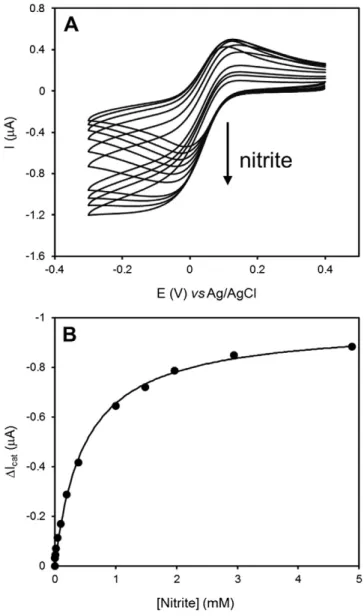 Fig. 3. Electrochemically mediated activity of Mhcd 1 NiR. Step 1 involves the reversible reduction of the mediator molecule at the electrode surface, step 2 consists in the homogeneous intermolecular ET reaction between the mediator and Mhcd 1 NiR yieldin