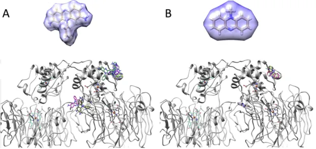 Fig. 8.Small electron transfer mediators used in the present study: A) Phenosafranin; B) PMS