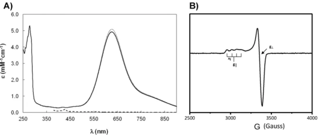 Fig. 4. Electrochemical behavior of Laz at a PGE and pH effect on the redox potential