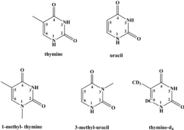 FIG. 1. Molecular structure of thymine, uracil, 1-methyl- 1-methyl-thymine (1-meT), 3-methyl-uracil (3-meU), and partly  deuter-ated thymine (thymine-d 4 ).