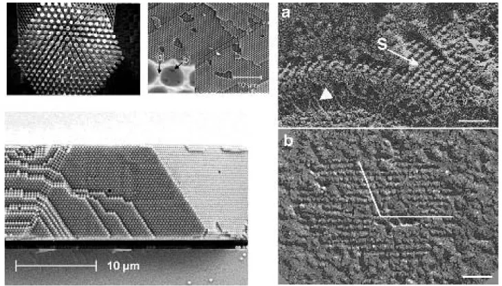 Figura 8.  Left panel: Top. Sonic crystals studied in CSIC/UPV Metamaterials group. Bottom