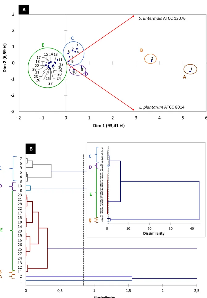 Figura 2.1 - (A) Análises de componentes principais e (B) Análises de agrupamento hierárquico dos  óleos essenciais em função de sua atividade antibacteriana sobre Salmonella Enteritidis e  Lactobacillus plantarum  12346578910111214131516171820192122232625