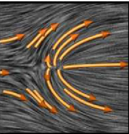 Figura 4.2 – Aplicação da técnica Curved Arrow Hedgehog Display na visualização de fluídos [Fonte: Telea 