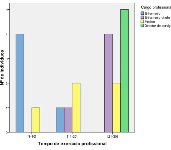 Gráfico nº 2 – Representação gráfica do número de indivíduos pelo cargo profissional e o tempo de  exercício profissional 