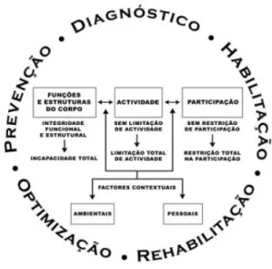 Ilustração 3- Representação do âmbito de intervenção do Terapeuta da Fala de acordo com a OMS (Dias, 2011) 