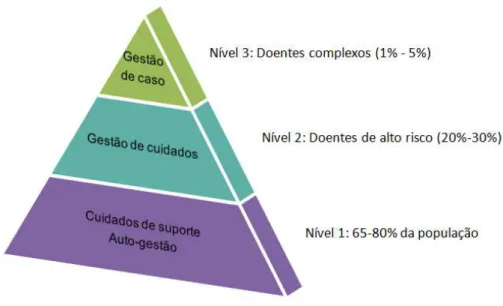 Figura 3 - Pirâmide de estratificação do risco.  