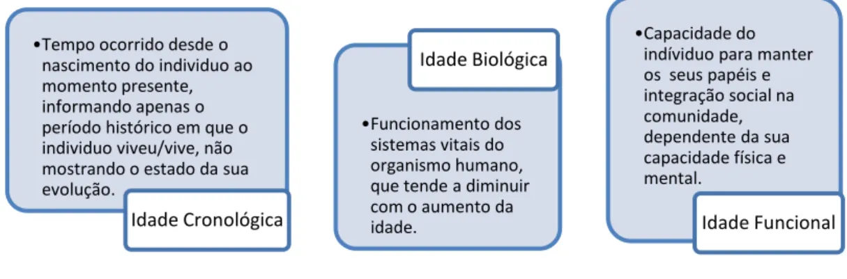 Figura 1 – Categorias de idade (adaptado de Mañas Rodriguez (1994) citado por Imaginário (2004)