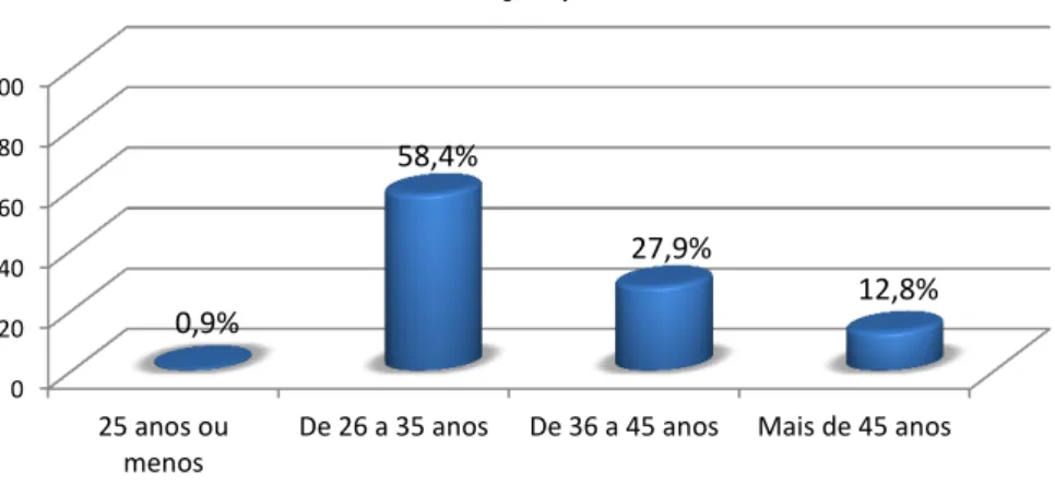 Gráfico 2: Distribuição por faixas etárias 