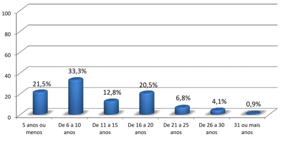 Gráfico 3: Distribuição por classes de anos de exercício profissional 