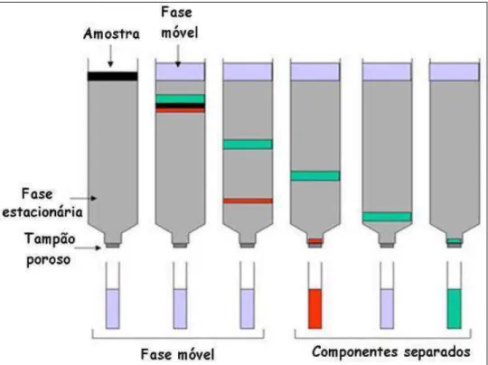 Figura 5 - Foto ilustrativa de cromatografia em coluna aberta  