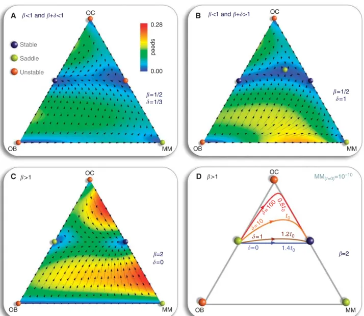 Figure 2 Evolutionary dynamics of osteoclasts (OC), osteoblasts (OB) and multiple myeloma (MM) cell types