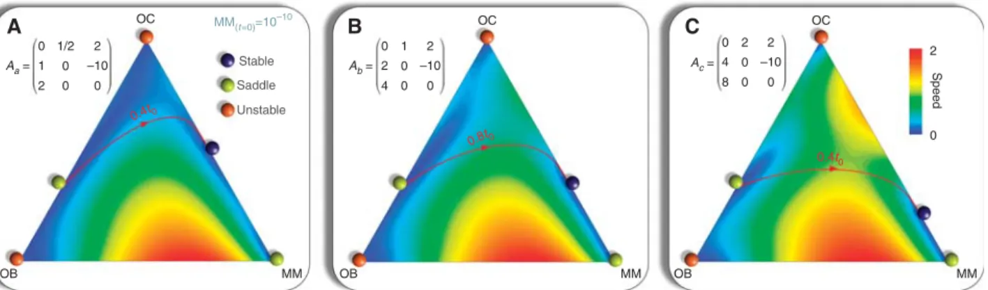 Figure 3 Host-specific tumour progression. The values b and c in matrix (1) alter the position of the equilibrium on the osteoclasts (OC) to multiple myeloma (MM) line (A, B, C), whereas a and e change the equilibrium between OC and osteoblasts (OB) cells,