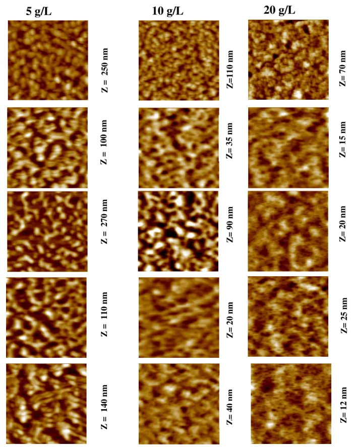 Figura 16. Imagens de AFM (5x5)µm 2  dos filmes de CMCAB preparados por spin coating em  soluções de  acetona nas concentrações de 5, 10 e 20 g/L com os respectivos  tempos de recozimento