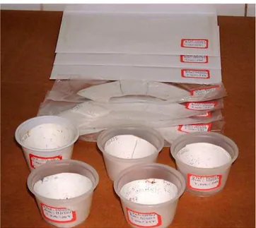 Figura 1 – Tipos de recipientes em que os ovos de Aedes aegypti foram armazenados: