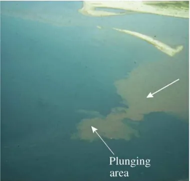 Figura 3.6. Fotografia aérea da formação de corrente hiperpicnal no Lago Tanganyika (Tanzânia), mos- mos-trando a região de mergulho da corrente (plunging area), a seta indica a direção do fluxo