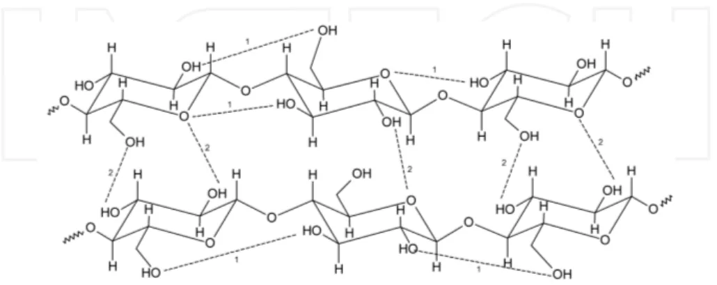 Figure 1. The structure and intra- (1) and interchain (2) hydrogen bonding pattern in cellulose.
