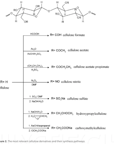 Figure 2. The most relevant cellulose derivatives and their synthesis pathways.
