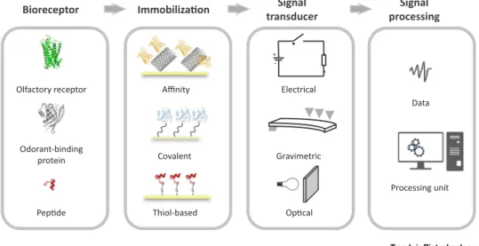 Figure 1. Scheme of Main Constituents of Protein and Peptide-Based Biosensors for Arti ﬁ cial Olfaction
